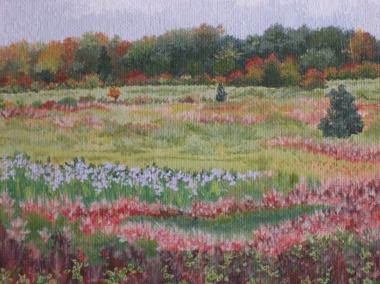Essex Meadow, October (oil)