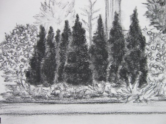 Planting, Charcoal Rowes Wharf Planting (charcoal)