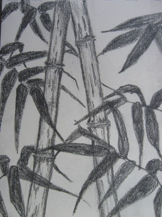 Bamboo for Tyler (pencil)