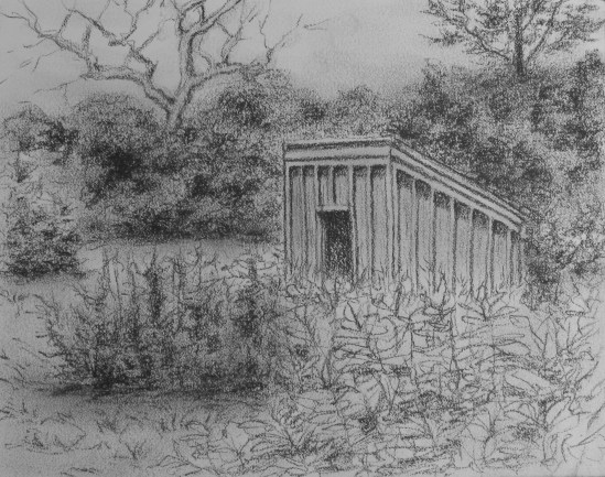 Field Near Brace Cove, E. Gloucester (charcoal pencil, 5 x 7)