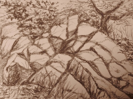 Rockport Roadside (conte, 5 x 7)