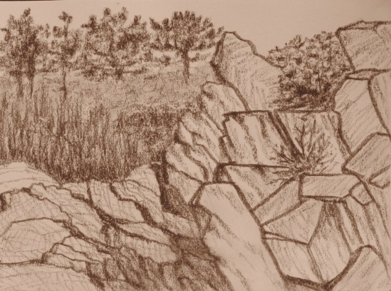 Bass Rocks (conte pencil, 5 x 7)