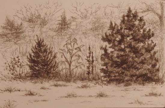 Seine Field, October