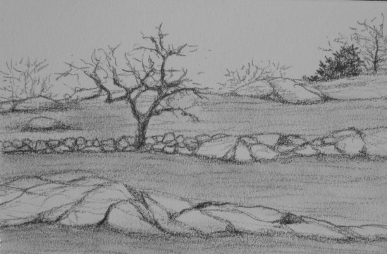 Moorland Road (conte pencil, 4" x 6")