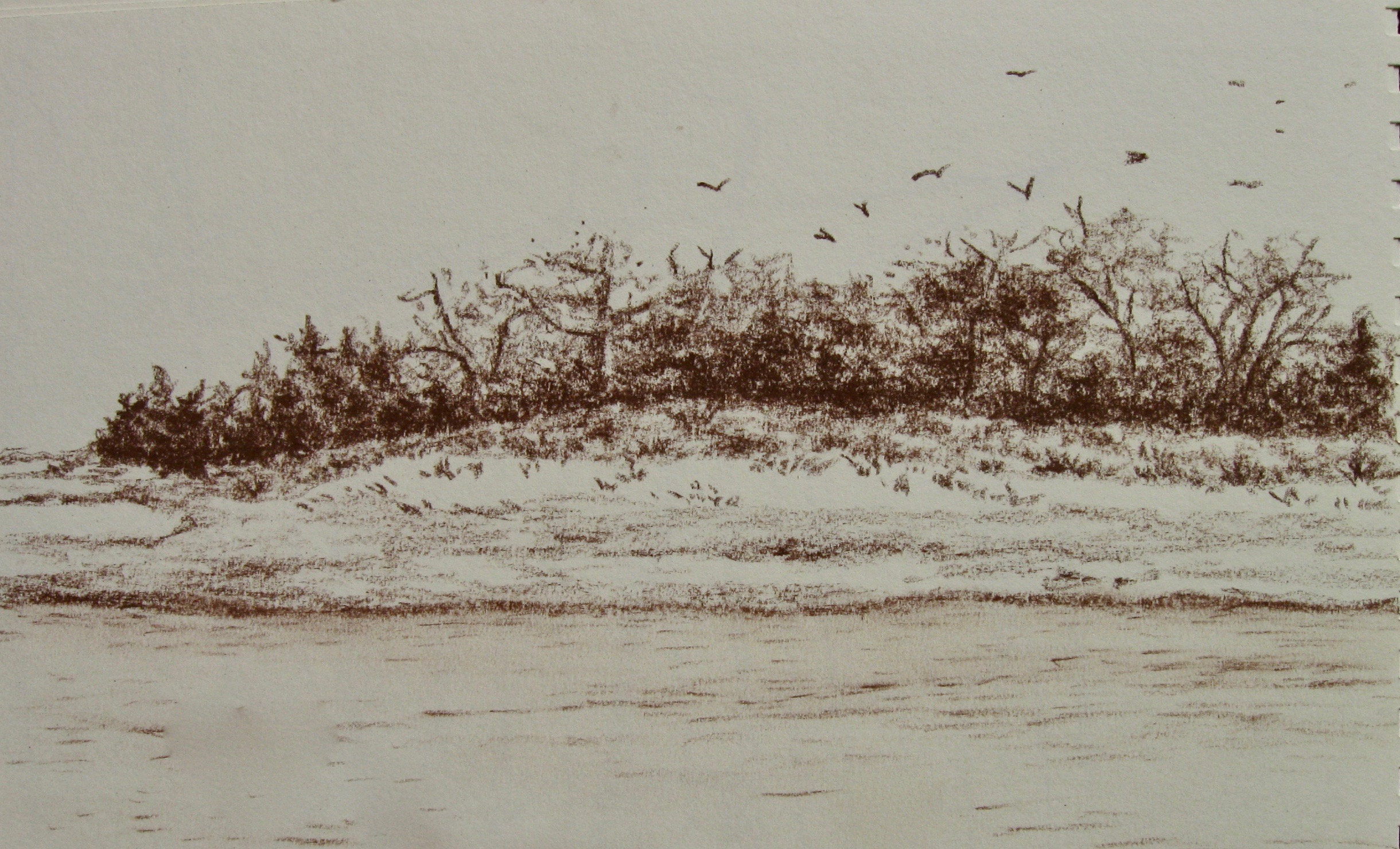 Wingaersheek Art for Tiny Houses